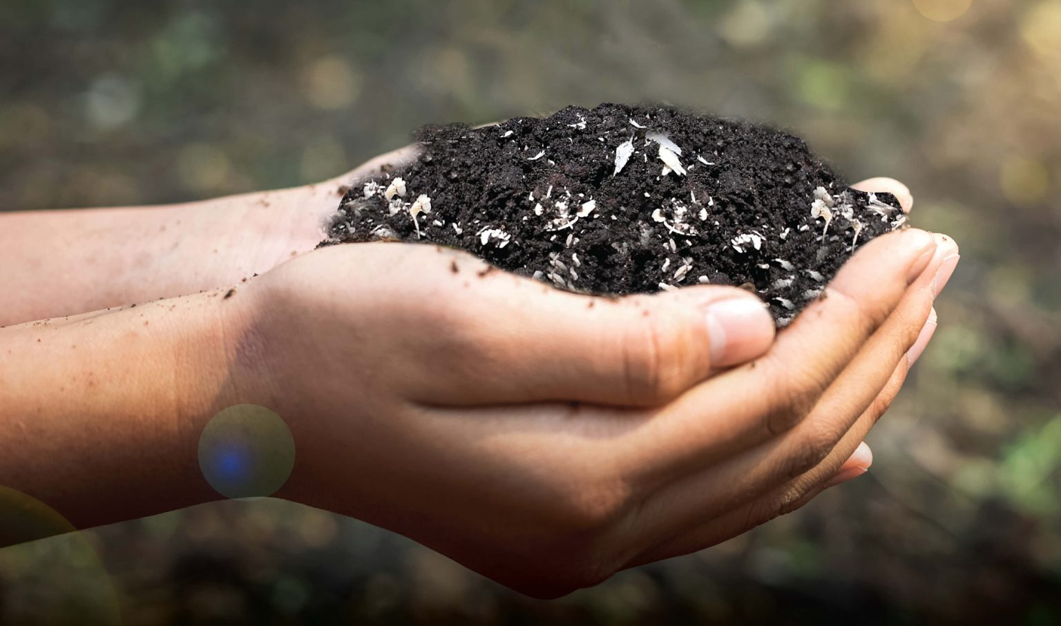 Edun: Premium “Soil-to-Oil” Cannabis Brand Website