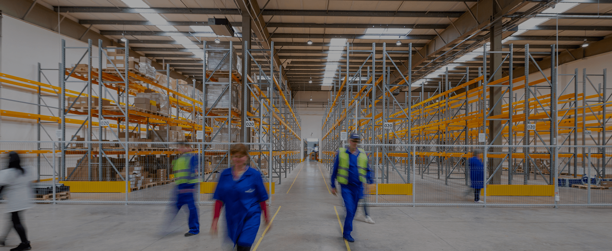 Rac Force: Digital Platform for Intelligent Warehouse Solutions