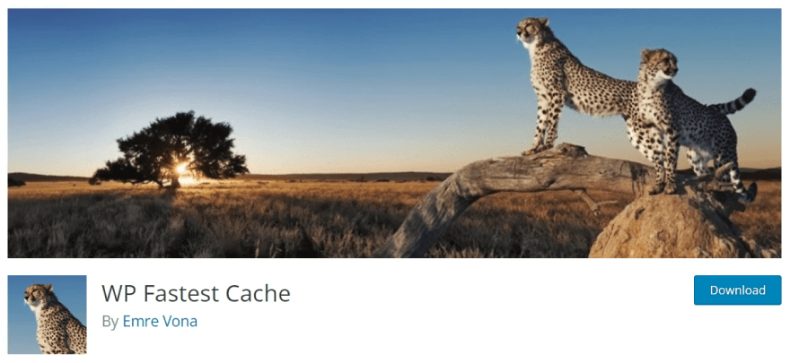 wp fastest cache